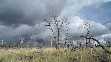 Die-Nachwirkungen-Des-Feuers-Im-Tal,-2015,-Lake-County,-Kalifornien