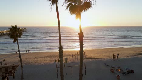 aerial approach of san clemente pier and people through palm trees over beach at sunset, usa