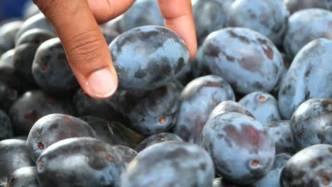 Close-up of Blue Plums at a Farmers Market