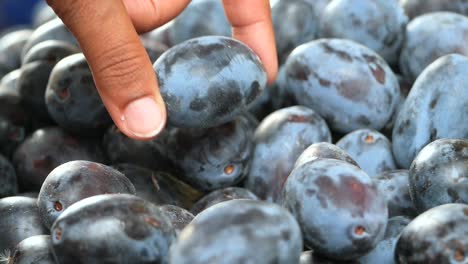 close-up of blue plums at a farmers market