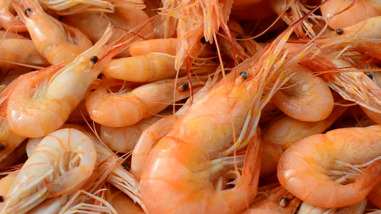 Gamberetti bolliti. Ripresa di un gamberetto