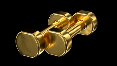 pair of gold dumbbells