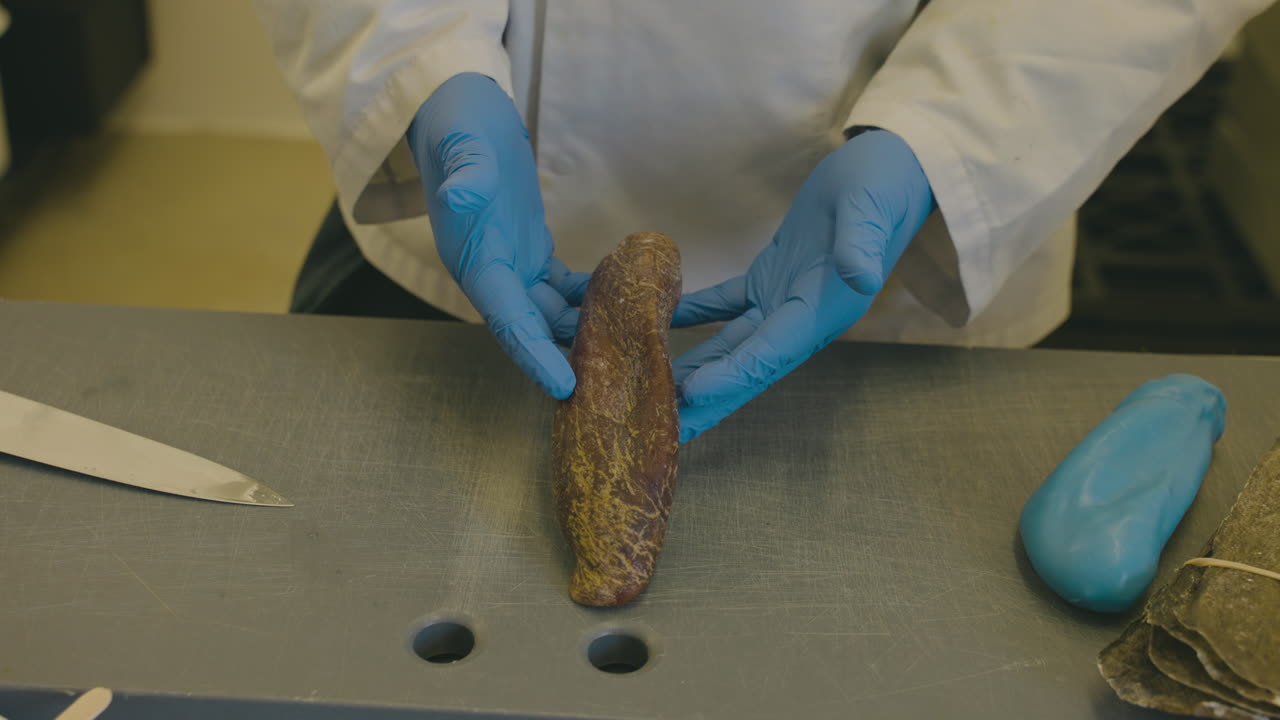 Mains gantées montrant une boutargue entière, une délicatesse d'œufs de poisson salés et séchés