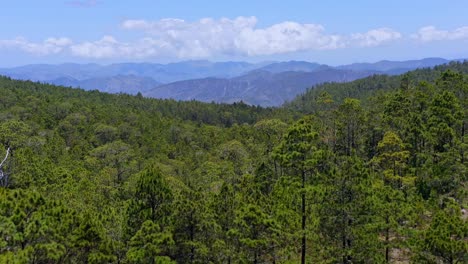 Ascending-aerial-view-over-forest-landscape-with-mountains-in-background---Valle-Nuevo,Dominican-Republic