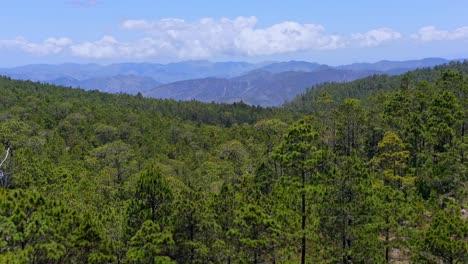 Vista-Aérea-Ascendente-Sobre-El-Paisaje-Forestal-Con-Montañas-En-El-Fondo---Valle-Nuevo,-República-Dominicana