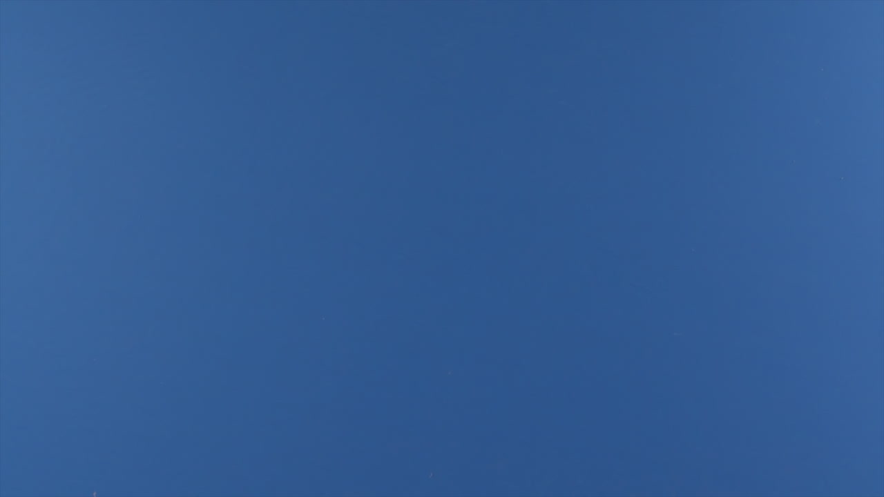 una mano lanza un rollo de papel higiénico a través de una pantalla azul