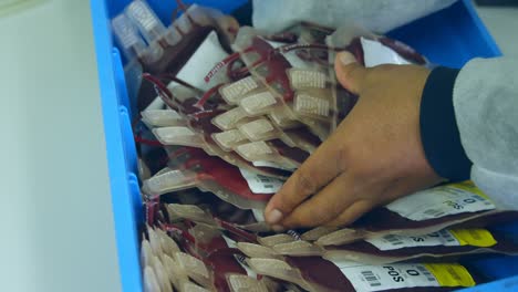 Laboratory-technician-arranging-blood-bags-in-a-tray-4k