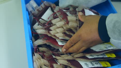 técnico de laboratorio organizando bolsas de sangre en una bandeja 4k