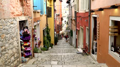 summer, sunshine view of the croatian old town - istria region - mediterranean sea-europe.