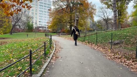 elderly well-dressed gentleman walking through central park on cold autumn morning