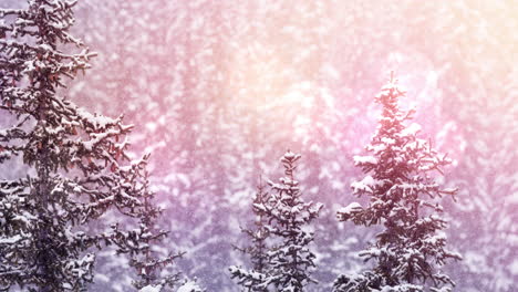 animation of winter scenery landscape with light spots and fir trees covered in snow