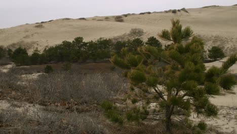 dunas del cabo