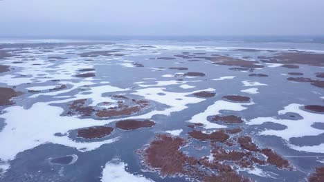 vista aérea del lago congelado liepaja durante el invierno, hielo azul con grietas, islas secas de juncos amarillentos, día de invierno nublado, gran tiro de drones avanzando alto