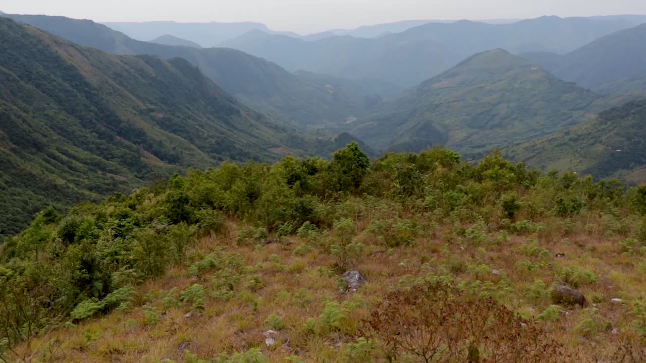 valle de montaña cubierto de bosques verdes y nieblas por la mañana desde un ángulo plano