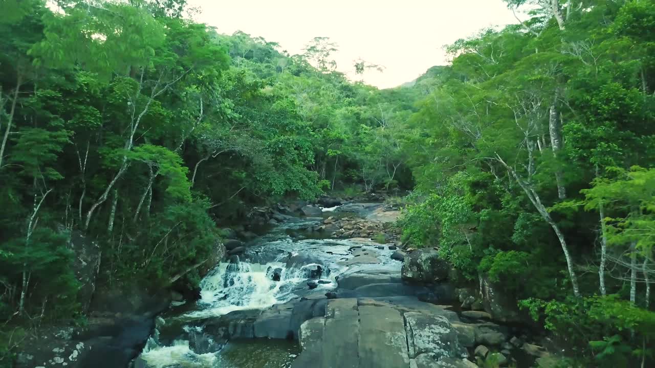 여름에 브라질 열대우림의 폭포의 숨막히는 긴 공중 촬영, 완벽한 초록색 자연