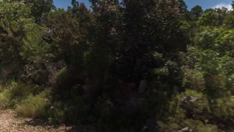 hvar dji 4k 10