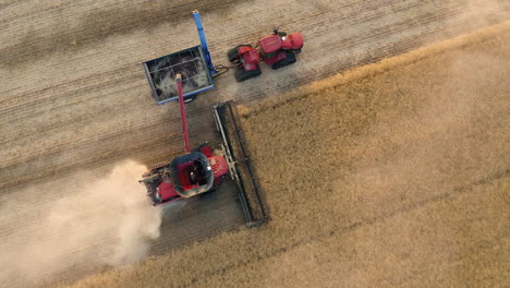 perfect aerial shot of a combine harvester and chaser bin collecting ripe grains