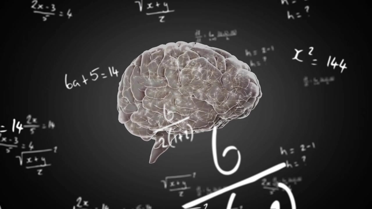 Otak Manusia Konseptual dengan Persamaan Matematika Mengambang dan Aktivitas Saraf