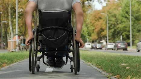 man with disabilities in wheelchair walk at the park alley