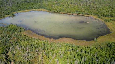 aerial pan down to small forested inland lake, michigan