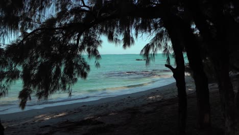 tiro de playa en cámara lenta en la isla mauricio