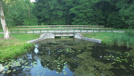 Drone soars over European lake at dawn, revealing nature's beauty, lush forest, and a scenic water dam with a charming bridge