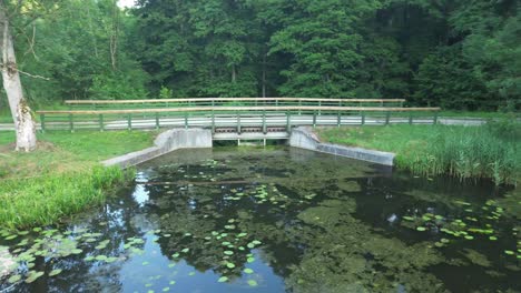 drone soars over european lake at dawn, revealing nature's beauty, lush forest, and a scenic water dam with a charming bridge