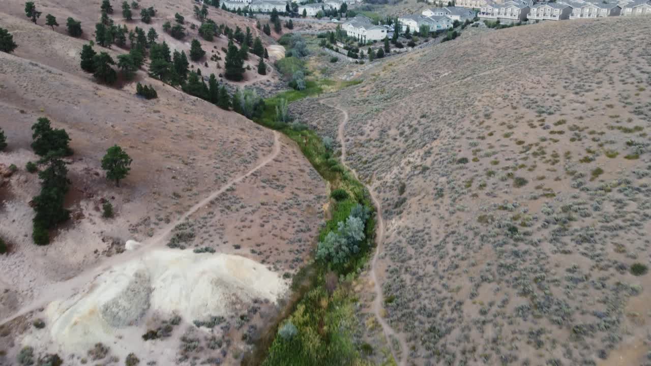 toma aérea de un parche de vegetación en el desierto que conduce a un desarrollo de viviendas