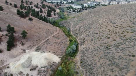 Aerial-shot-of-a-patch-of-greenery-in-the-desert-leading-to-a-housing-development