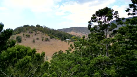 Drone-flies-high-from-within-a-pine-forest-to-see-a-beautiful-home-in-the-distance