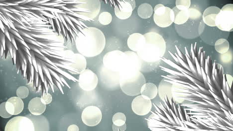 white christmas tree branches over spots of lights against grey background