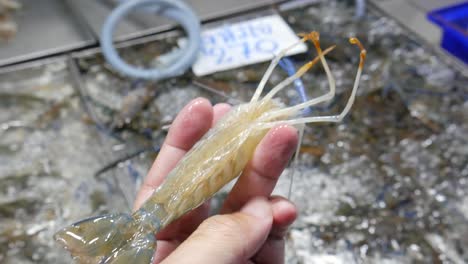 camarón de río azul vivo crudo fresco en el mercado local de pescado para la venta tailandia asia