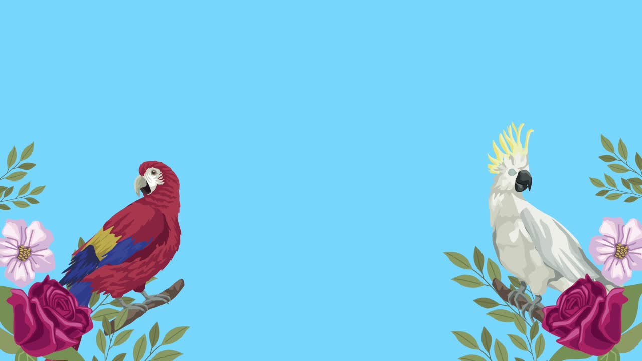 pájaros loro y cacahuete aves exóticas