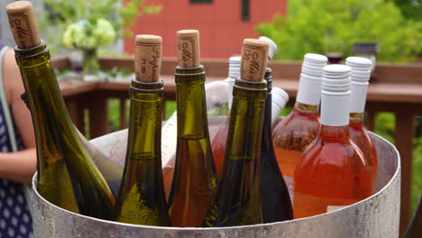 bucket of wine at happy hour