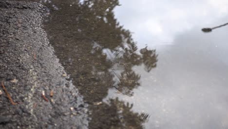 gota de lluvia en cámara lenta en un charco de agua