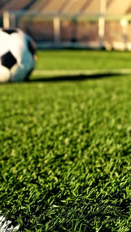 soccer field with ball