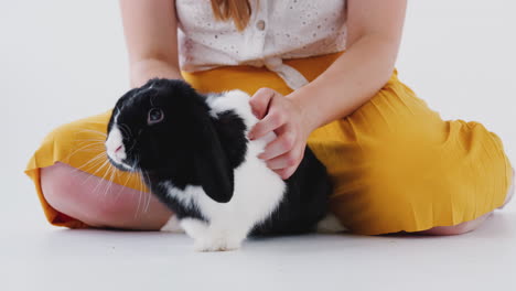 primer plano de un niño acariciando un conejo de orejas en miniatura en blanco y negro sobre un fondo blanco