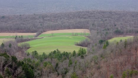 traveling over the tops of the trees of the forest in the winter season aerial view