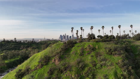 Grüner-Winter-In-Los-Angeles