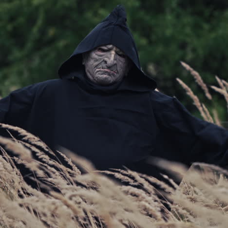 spooky evil with horrorful face outdoors. scary view of a black ghost appearing among ripe wheat field. portrait of death in nature.