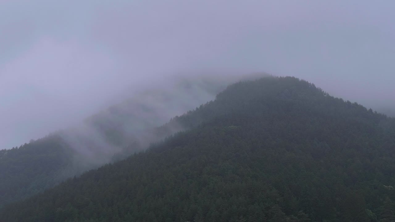 일본 고지대 후지산 주변의 안개