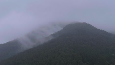 the japanese highlands around mount fuji in the mist