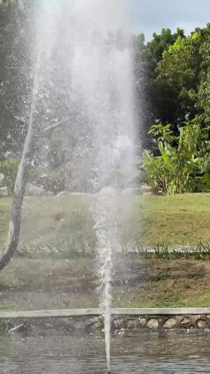 Fontana d'acqua che zampilla in alto in uno stagno del parco
