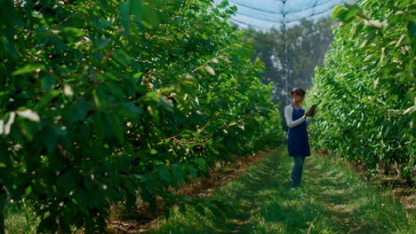 Woman-botanical-specialist-checking-trees-growth-with-tablet-in-green-plantation