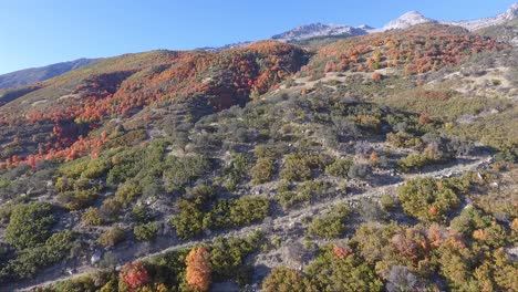 a drone flies over the rocks and slopes of dry creek trailhead in alpine, utah as leaves change into brilliant fall colors