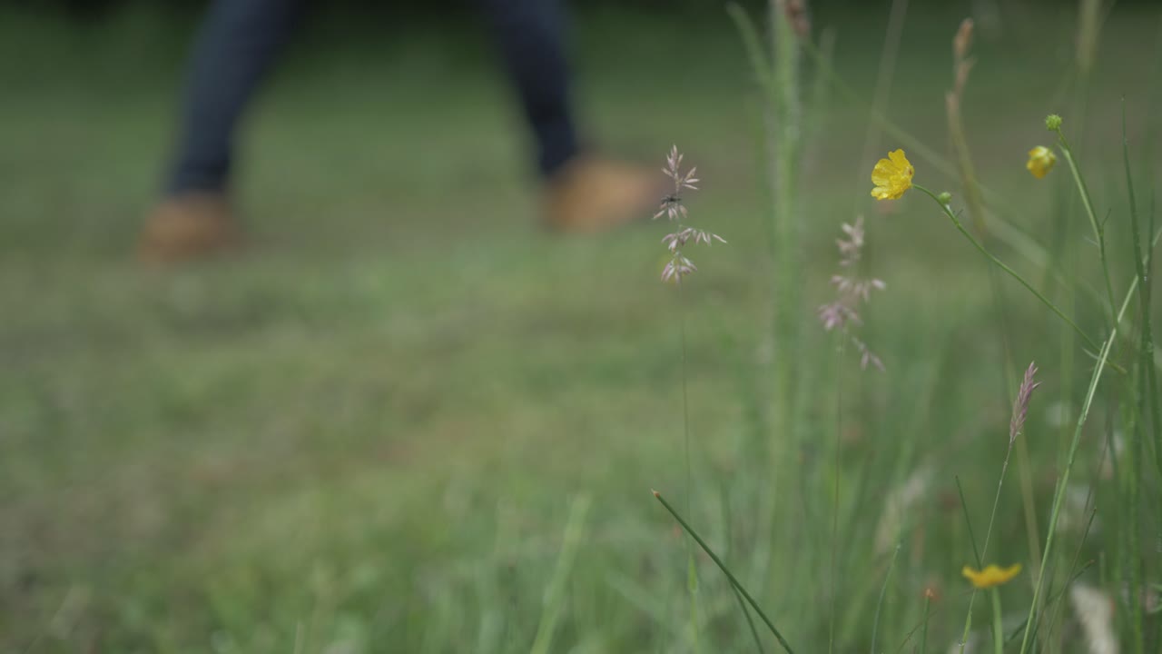 농부가 자신의  ⁇ 을  ⁇ 고 있는 보케 촬영