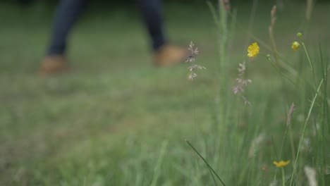 un granjero camina su campo bokeh tiro
