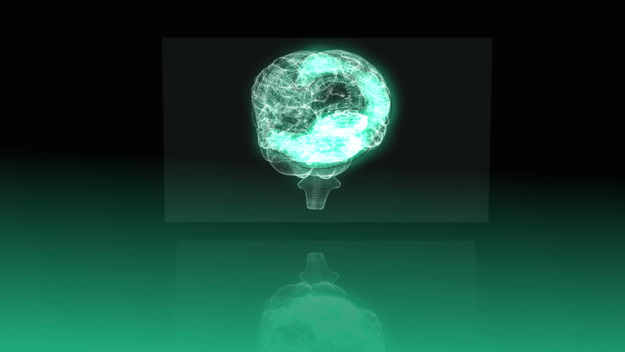 Revolving transparent human brain graphic 