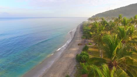 Flying-Through-Palm-Trees-Along-Beach