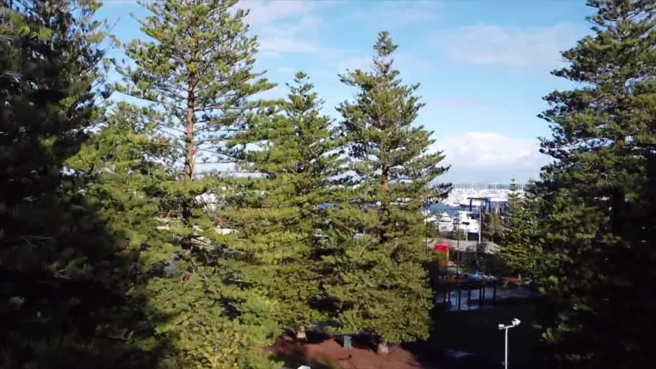 Aerial View Flying up above Railway Carriage Caf&eacute; over Pine Trees in Esplanade Park in Western Australia with view of Fremantle Fishing Boat Harbour